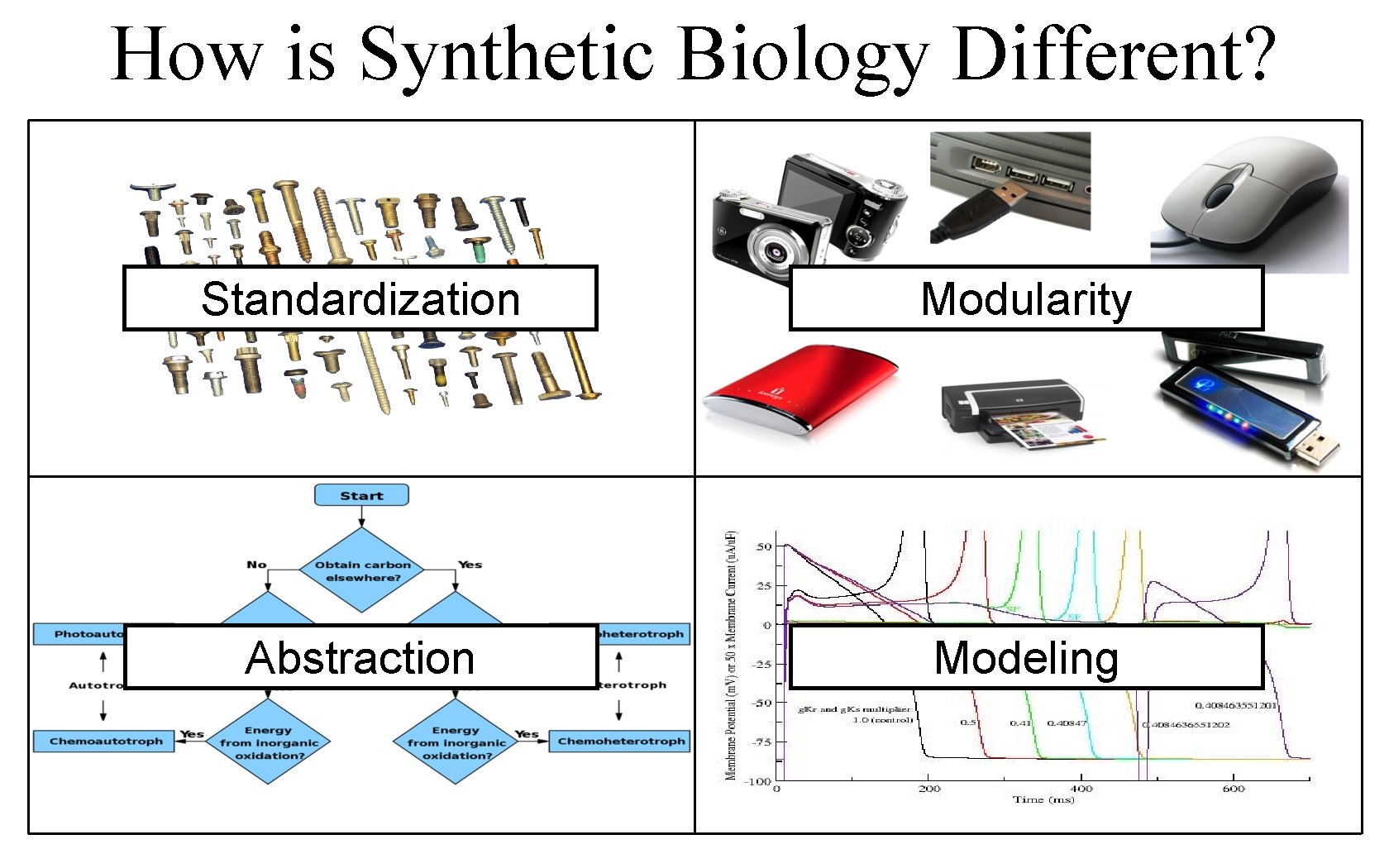 How is Synthetic Biology Different? Standardization Modularity Abstraction Modeling 