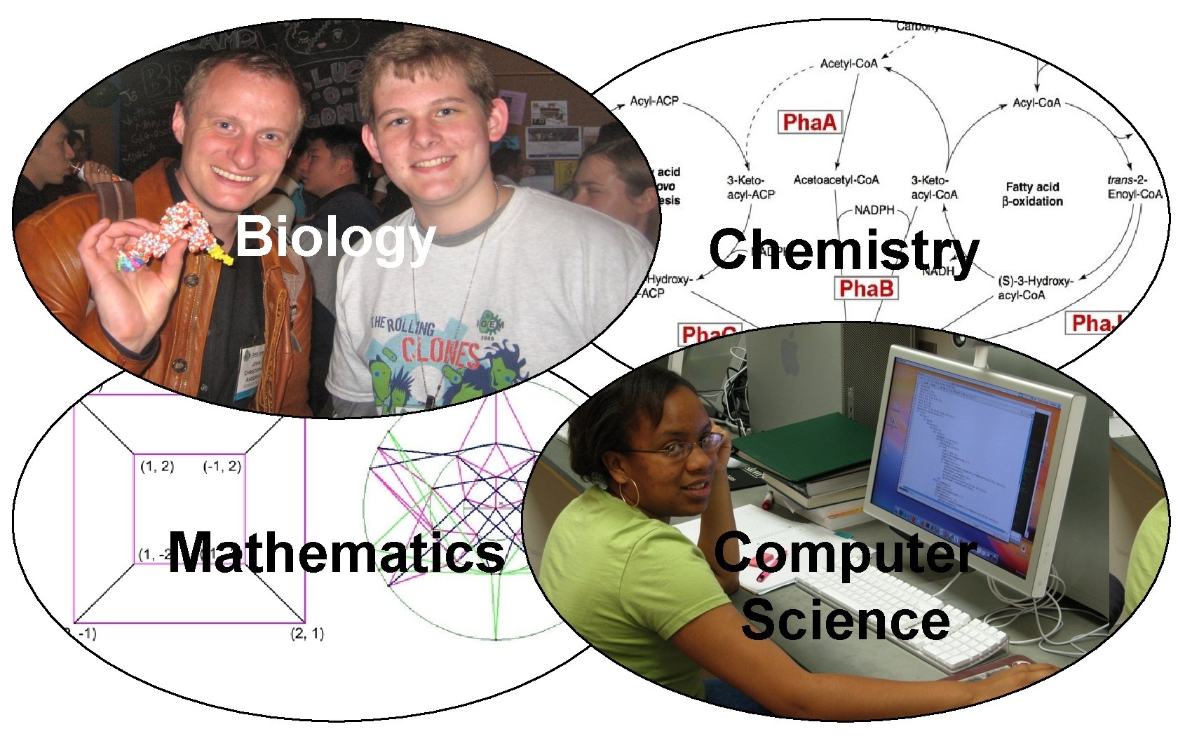Biology Chemistry Mathematics Computer Science 