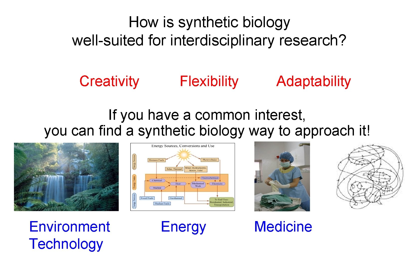 How is synthetic biology well-suited for interdisciplinary research? Creativity Flexibility Adaptability If you have