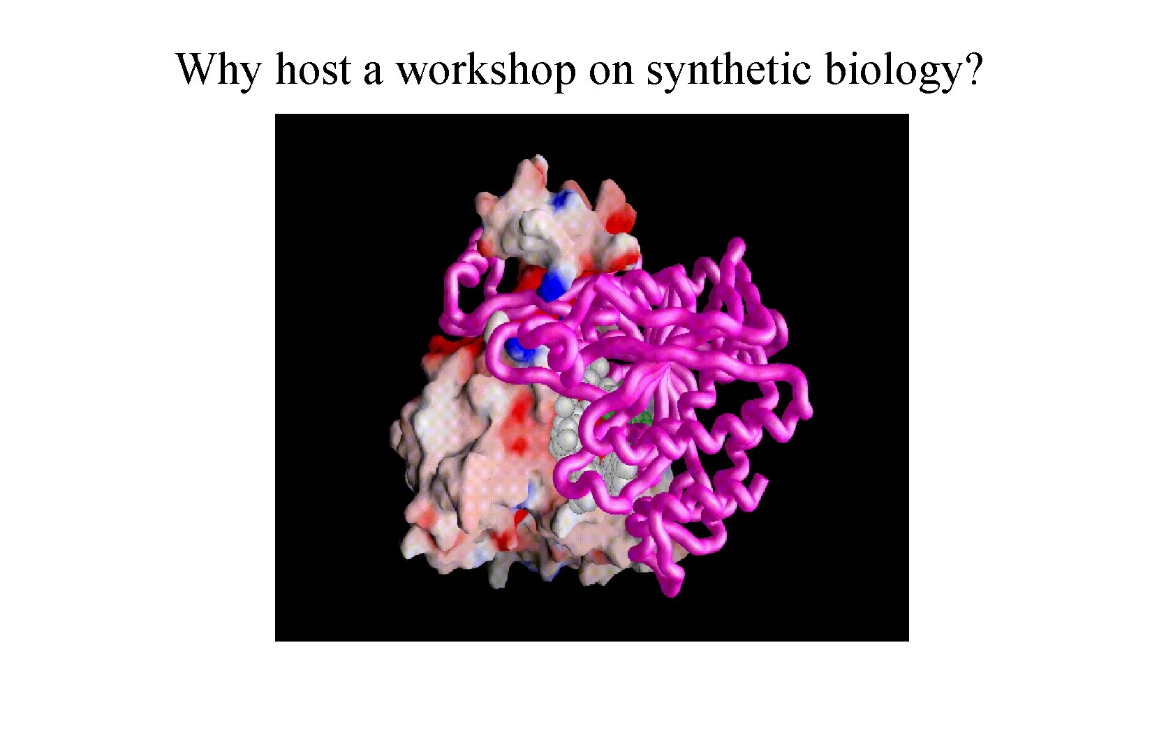 Why host a workshop on synthetic biology? 