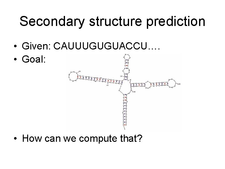 Secondary structure prediction • Given: CAUUUGUGUACCU…. • Goal: • How can we compute that?