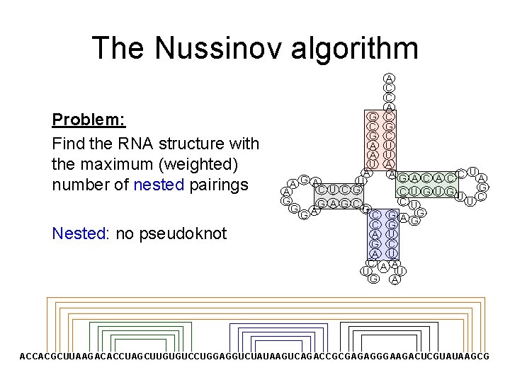 The Nussinov algorithm Problem: Find the RNA structure with the maximum (weighted) number of