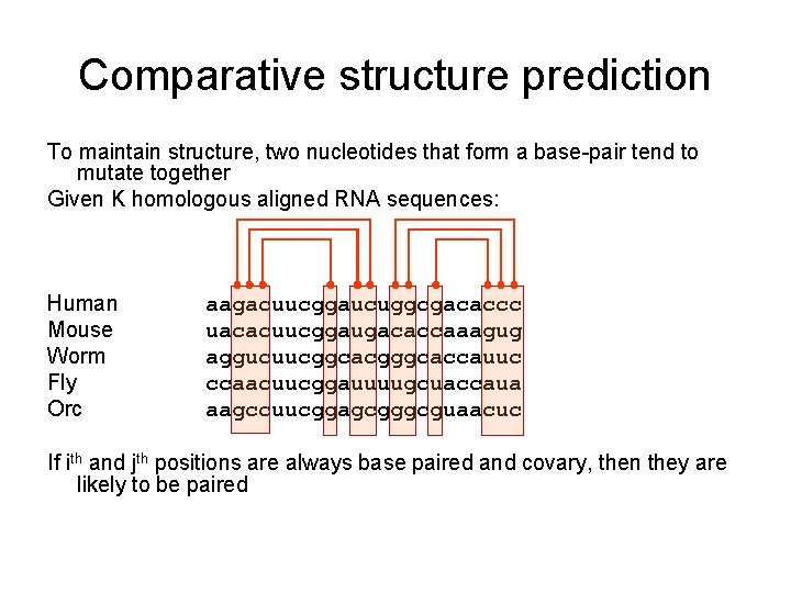 Comparative structure prediction To maintain structure, two nucleotides that form a base-pair tend to