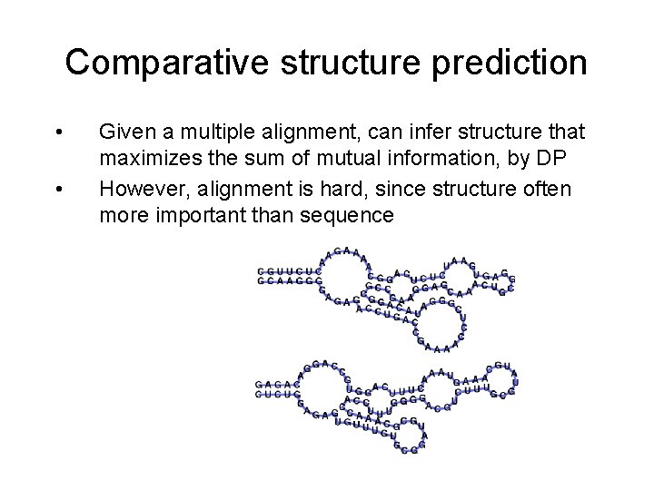 Comparative structure prediction • • Given a multiple alignment, can infer structure that maximizes