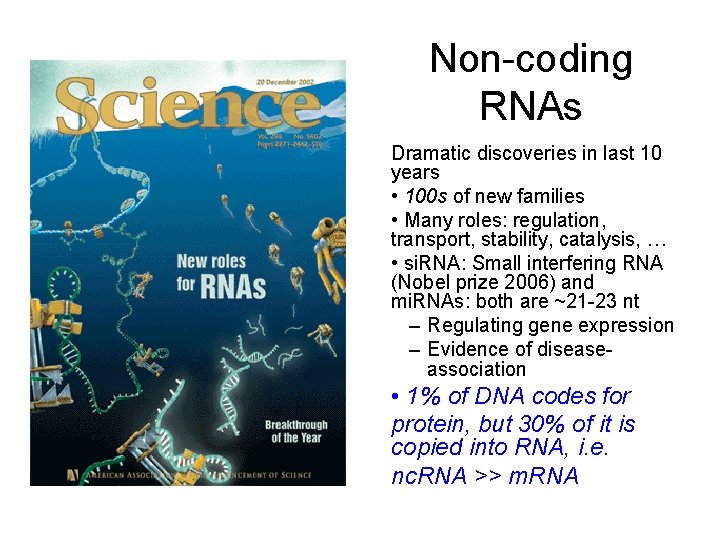 Non-coding RNAs Dramatic discoveries in last 10 years • 100 s of new families