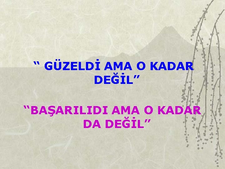 “ GÜZELDİ AMA O KADAR DEĞİL” “BAŞARILIDI AMA O KADAR DA DEĞİL” 