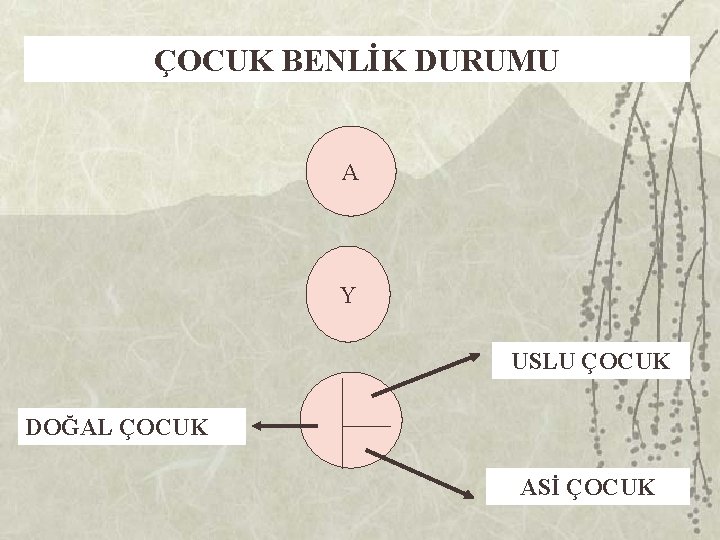 ÇOCUK BENLİK DURUMU A Y USLU ÇOCUK DOĞAL ÇOCUK ASİ ÇOCUK 