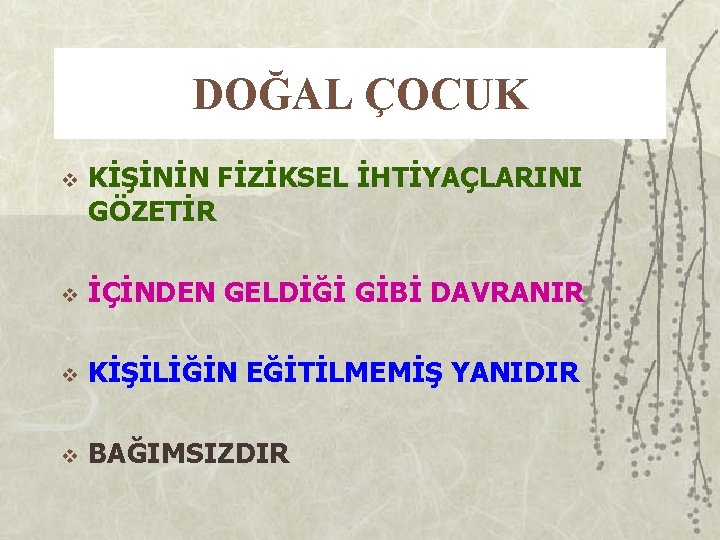 DOĞAL ÇOCUK v KİŞİNİN FİZİKSEL İHTİYAÇLARINI GÖZETİR v İÇİNDEN GELDİĞİ GİBİ DAVRANIR v KİŞİLİĞİN