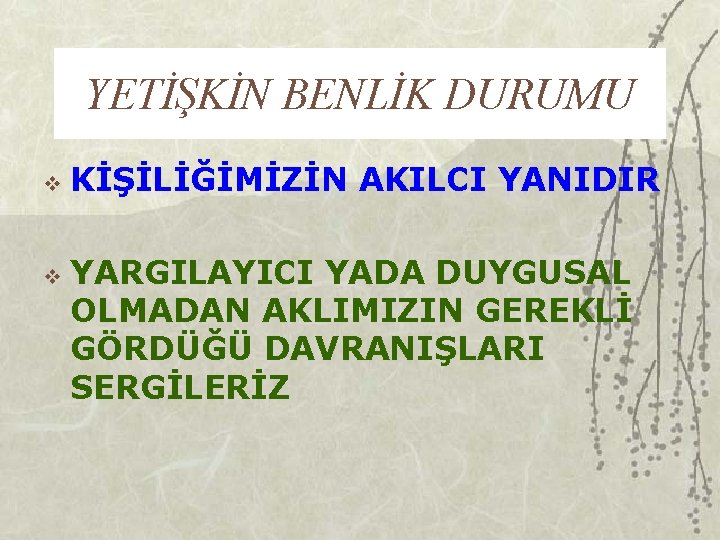 YETİŞKİN BENLİK DURUMU v v KİŞİLİĞİMİZİN AKILCI YANIDIR YARGILAYICI YADA DUYGUSAL OLMADAN AKLIMIZIN GEREKLİ