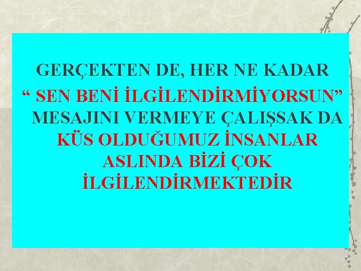 GERÇEKTEN DE, HER NE KADAR “ SEN BENİ İLGİLENDİRMİYORSUN” MESAJINI VERMEYE ÇALIŞSAK DA KÜS