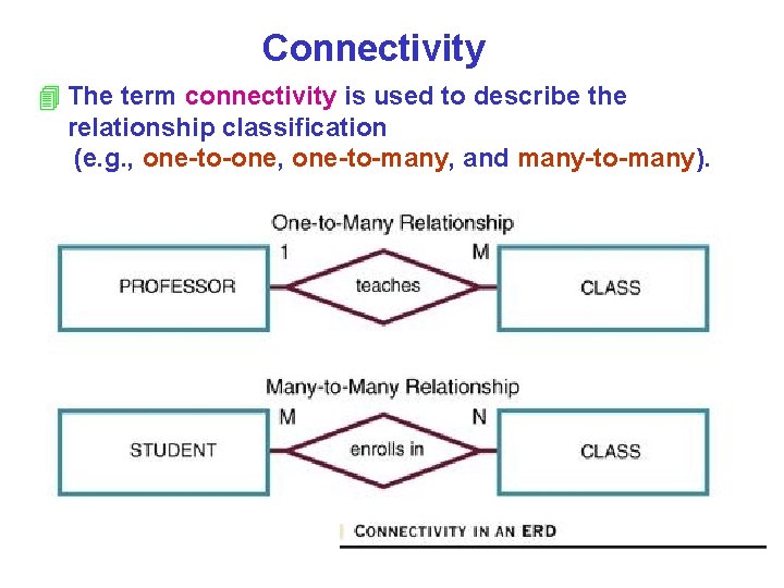 Connectivity 4 The term connectivity is used to describe the relationship classification (e. g.