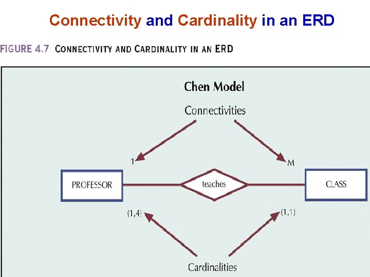 Connectivity and Cardinality in an ERD 