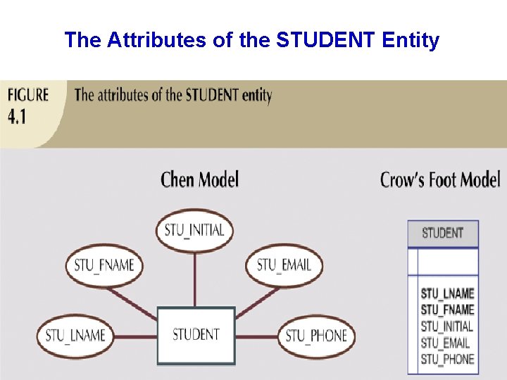 The Attributes of the STUDENT Entity 