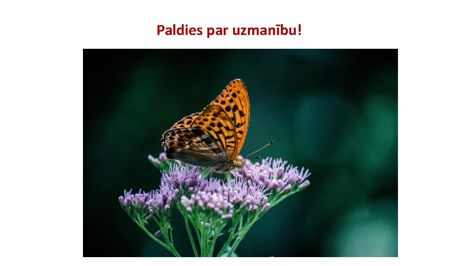 Paldies par uzmanību! 