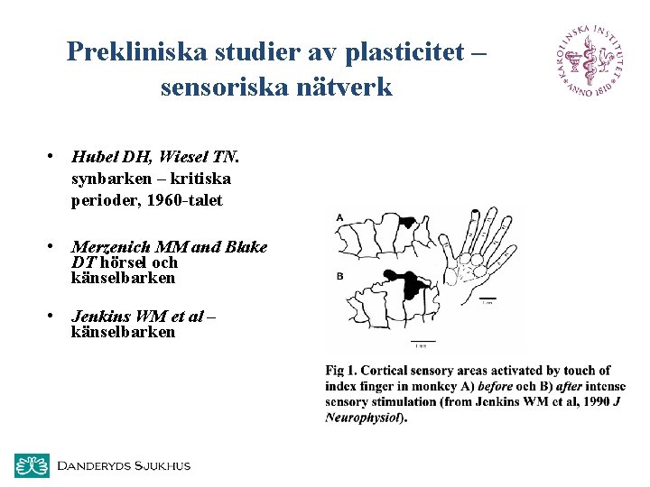 Prekliniska studier av plasticitet – sensoriska nätverk • Hubel DH, Wiesel TN. synbarken –
