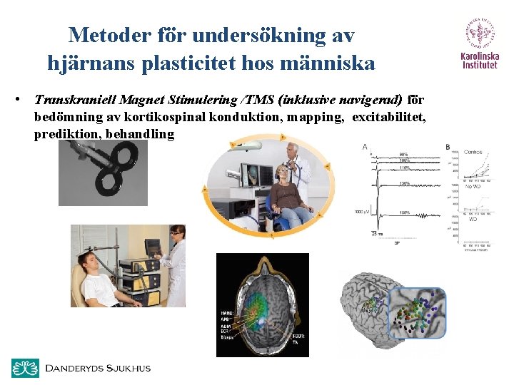 Metoder för undersökning av hjärnans plasticitet hos människa • Transkraniell Magnet Stimulering /TMS (inklusive