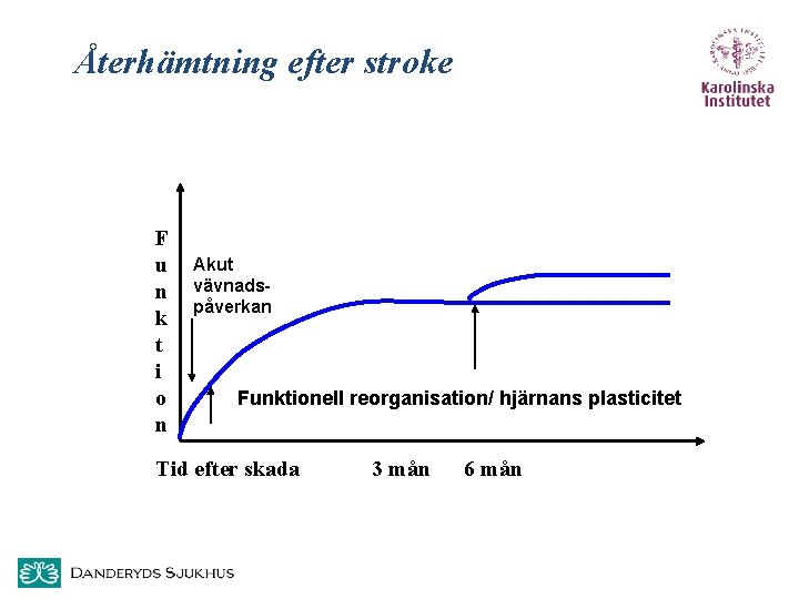 Återhämtning efter stroke F u n k t i o n Akut vävnads. S