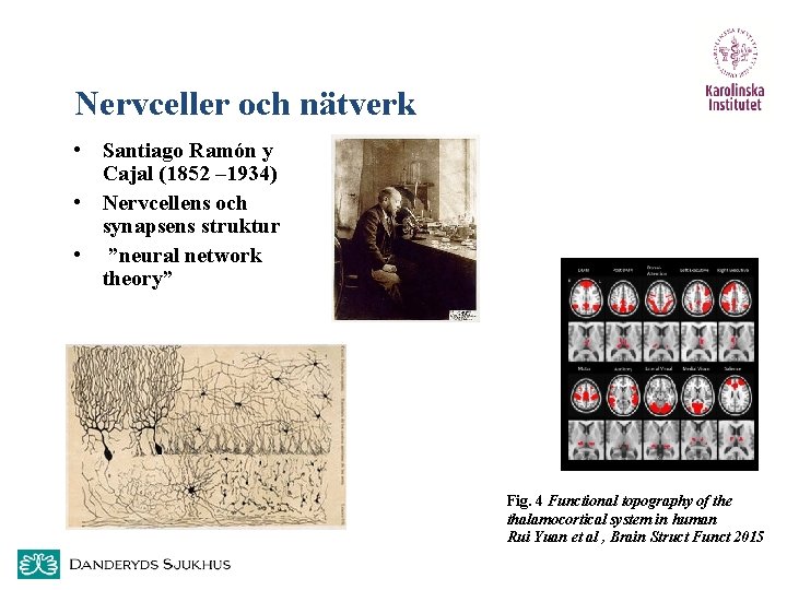 Nervceller och nätverk • Santiago Ramón y Cajal (1852 – 1934) • Nervcellens och