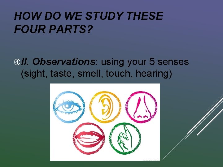 HOW DO WE STUDY THESE FOUR PARTS? II. Observations: using your 5 senses (sight,