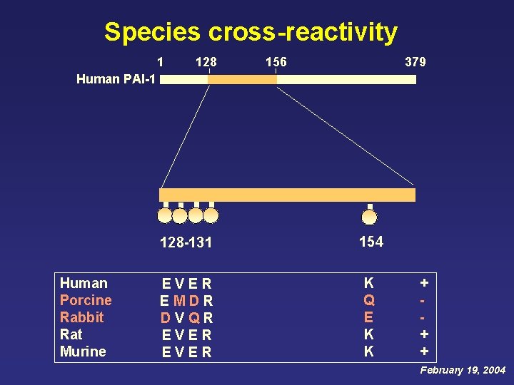 Species cross-reactivity 1 128 156 379 Human PAI-1 Human Porcine Rabbit Rat Murine 128 Species cross-reactivity 1 128 156 379 Human PAI-1 Human Porcine Rabbit Rat Murine 128