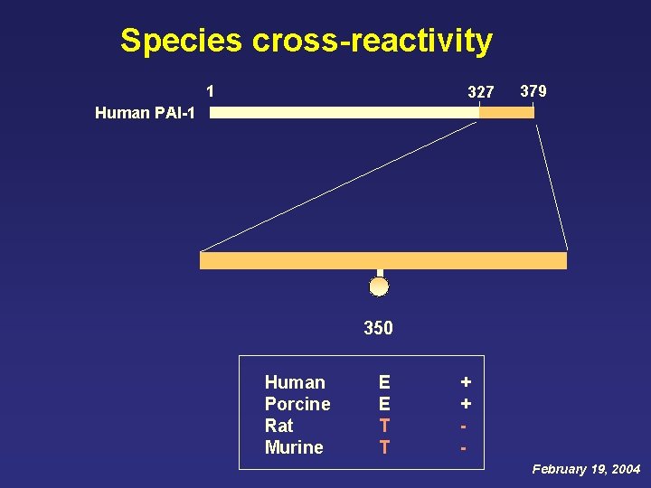 Species cross-reactivity 1 327 379 Human PAI-1 350 Human Porcine Rat Murine E E Species cross-reactivity 1 327 379 Human PAI-1 350 Human Porcine Rat Murine E E