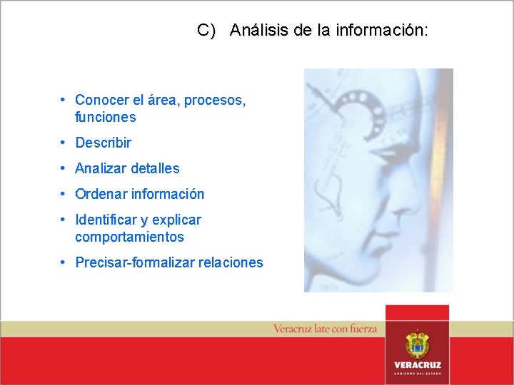 C) Análisis de la información: • Conocer el área, procesos, funciones • Describir •