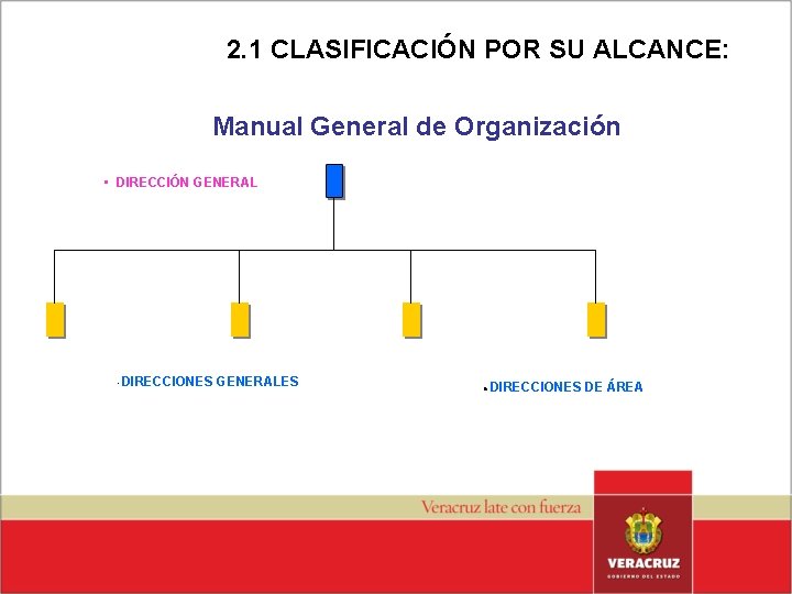 2. 1 CLASIFICACIÓN POR SU ALCANCE: Manual General de Organización • DIRECCIÓN GENERAL •