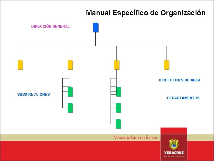 Manual Específico de Organización DIRECCIÓN GENERAL • • DIRECCIONES DE ÁREA SUBDIRECCIONES • DEPARTAMENTOS