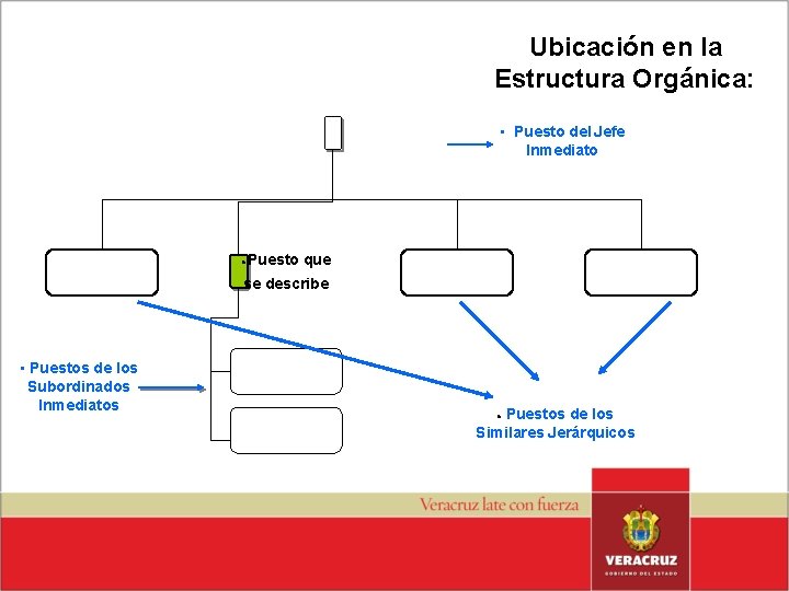 Ubicación en la Estructura Orgánica: • Puesto del Jefe Inmediato • Puesto que se