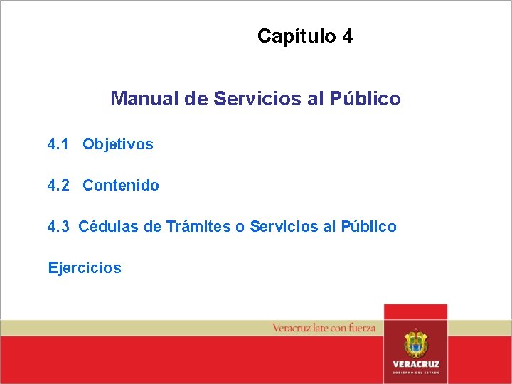 Capítulo 4 Manual de Servicios al Público 4. 1 Objetivos 4. 2 Contenido 4.