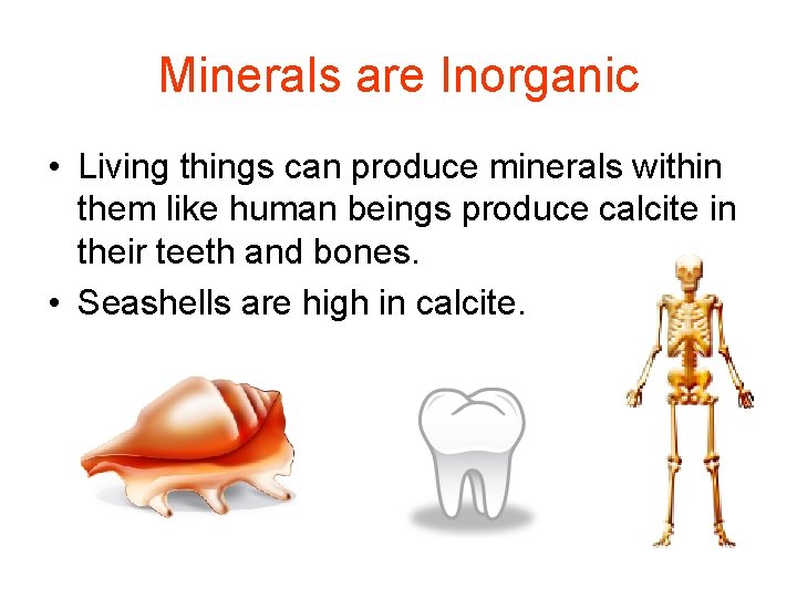 Minerals are Inorganic • Living things can produce minerals within them like human beings