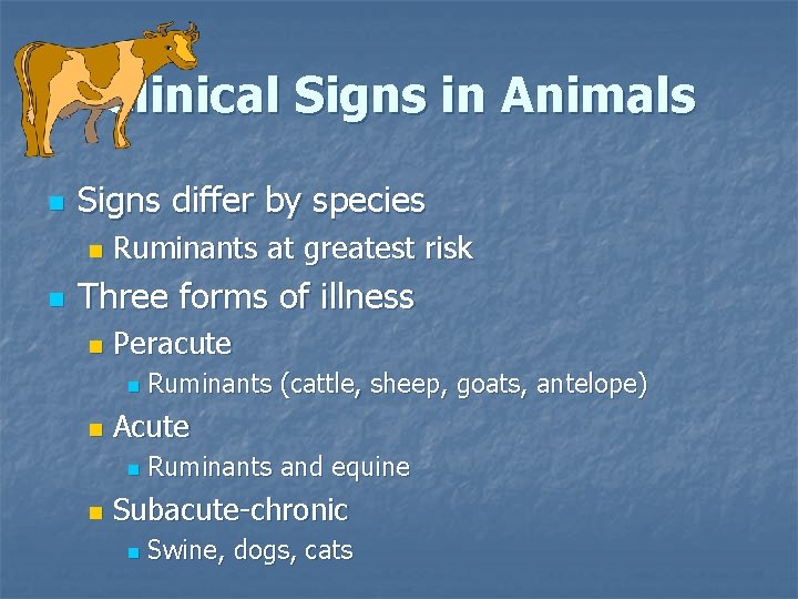 Clinical Signs in Animals n Signs differ by species n n Ruminants at greatest