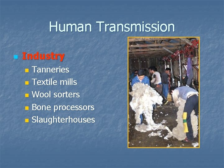 Human Transmission n Industry Tanneries n Textile mills n Wool sorters n Bone processors