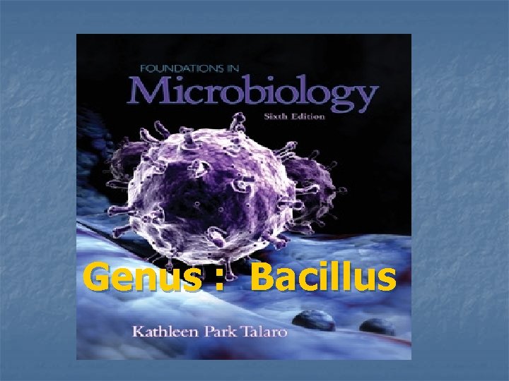 Genus : Bacillus 