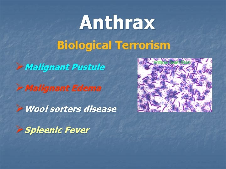 Anthrax Biological Terrorism ØMalignant Pustule ØMalignant Edema ØWool sorters disease ØSpleenic Fever 