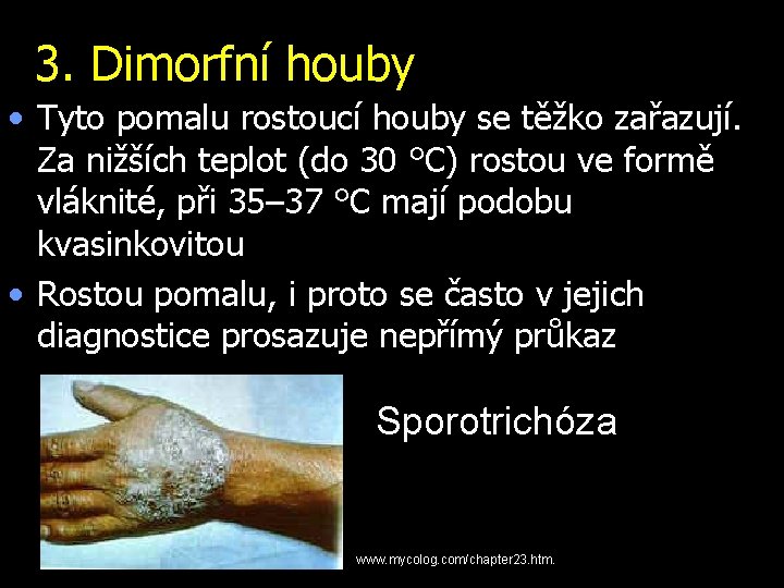 3. Dimorfní houby • Tyto pomalu rostoucí houby se těžko zařazují. Za nižších teplot