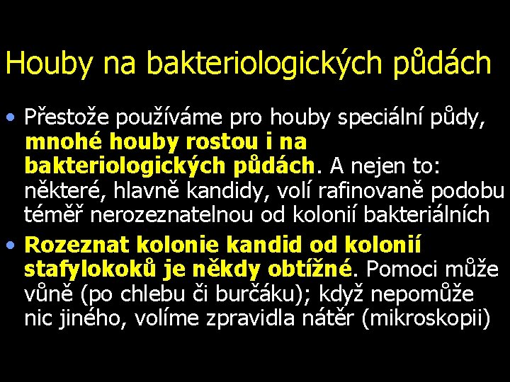 Houby na bakteriologických půdách • Přestože používáme pro houby speciální půdy, mnohé houby rostou