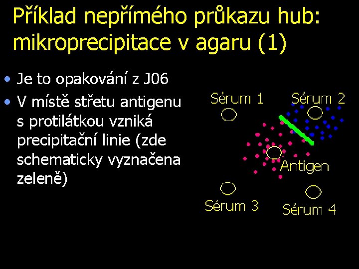 Příklad nepřímého průkazu hub: mikroprecipitace v agaru (1) • Je to opakování z J