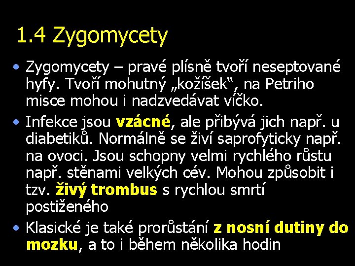 1. 4 Zygomycety • Zygomycety – pravé plísně tvoří neseptované hyfy. Tvoří mohutný „kožíšek“,