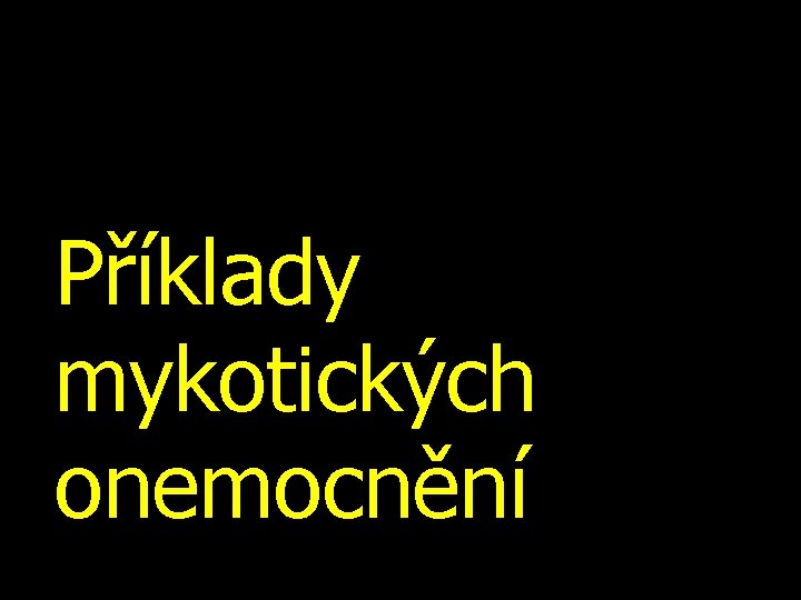 Příklady mykotických onemocnění 