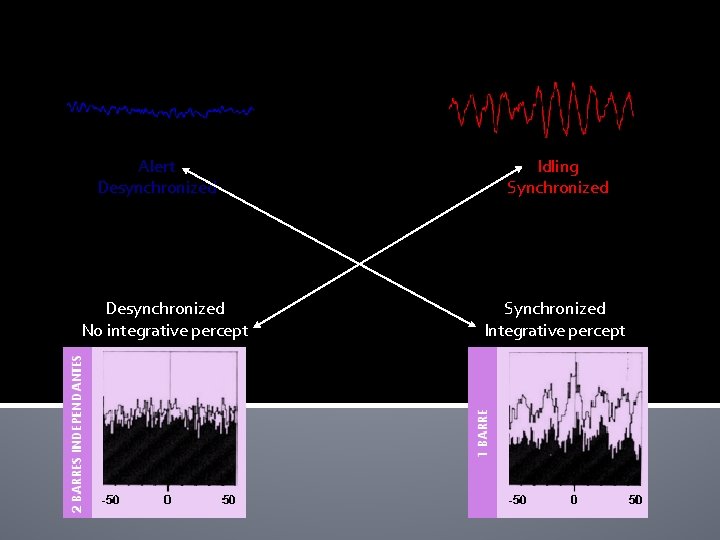 Alert Desynchronized No integrative percept Idling Synchronized Integrative percept Alert Desynchronized No integrative percept Idling Synchronized Integrative percept