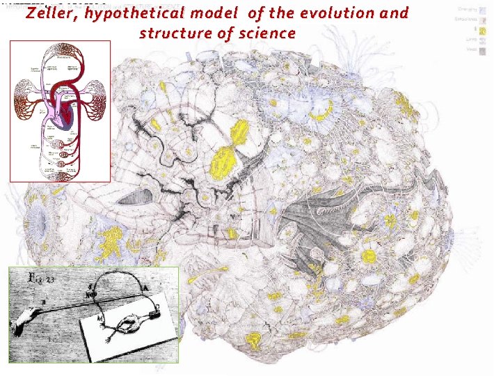 Zeller, hypothetical model of the evolution and structure of science Zeller, hypothetical model of the evolution and structure of science