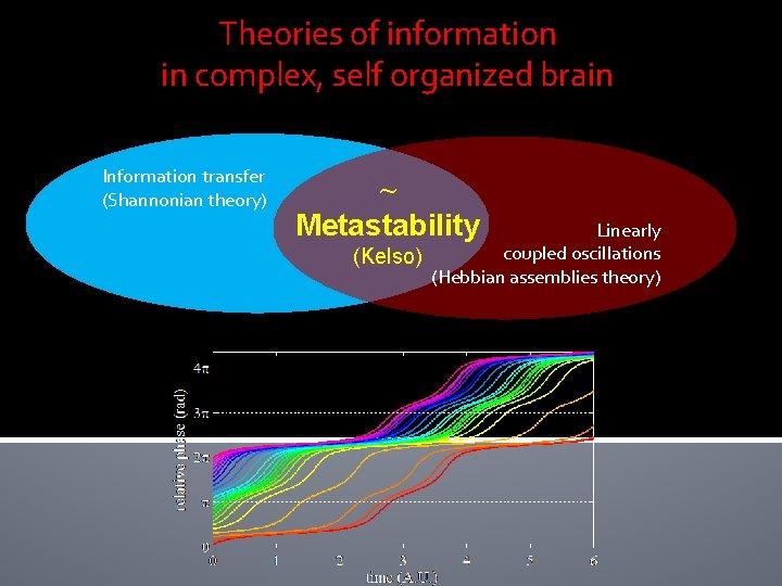 Theories of information in complex, self organized brain Information transfer (Shannonian theory) ~ Metastability Theories of information in complex, self organized brain Information transfer (Shannonian theory) ~ Metastability