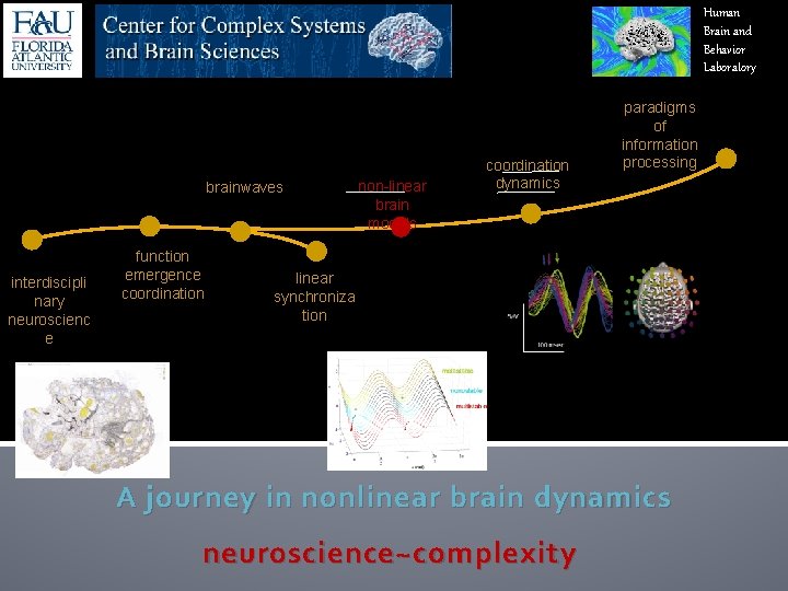 Human Brain and Behavior Laboratory brainwaves interdiscipli nary neuroscienc e function emergence coordination non-linear Human Brain and Behavior Laboratory brainwaves interdiscipli nary neuroscienc e function emergence coordination non-linear