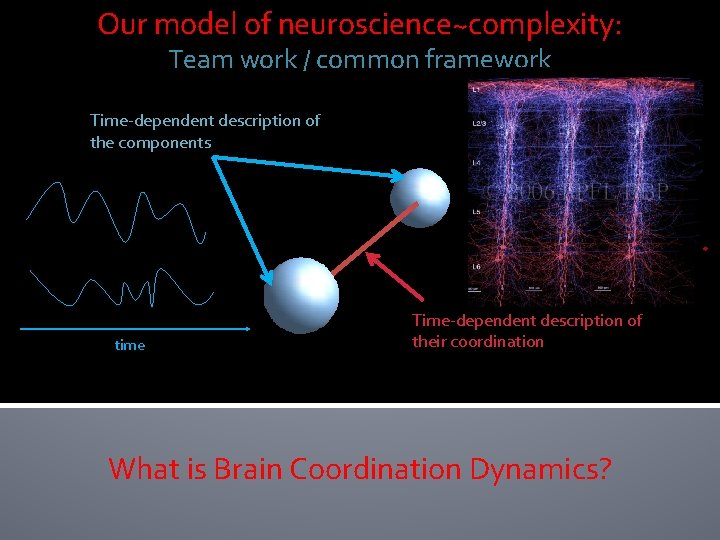 Our model of neuroscience~complexity: Team work / common framework Time-dependent description of the components Our model of neuroscience~complexity: Team work / common framework Time-dependent description of the components