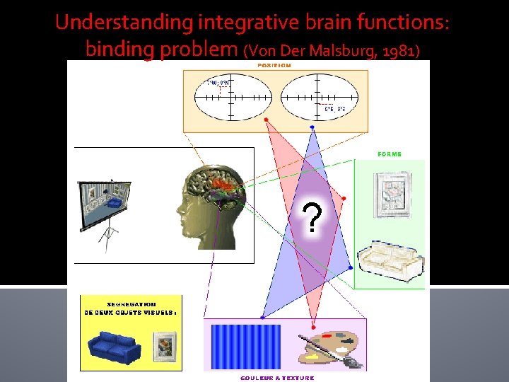 Understanding integrative brain functions: binding problem (Von Der Malsburg, 1981) Understanding integrative brain functions: binding problem (Von Der Malsburg, 1981)