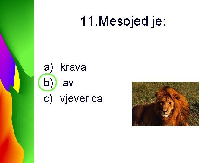 11. Mesojed je: a) krava b) lav c) vjeverica 