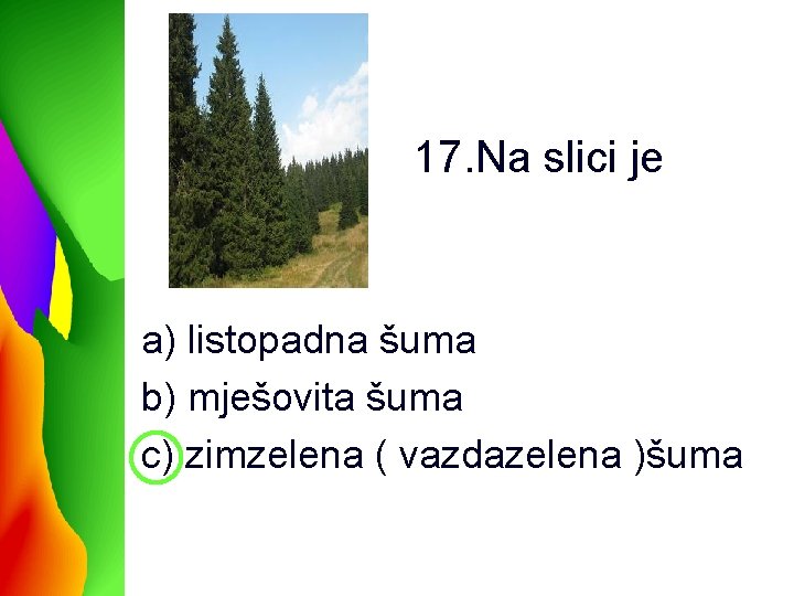 17. Na slici je a) listopadna šuma b) mješovita šuma c) zimzelena ( vazdazelena