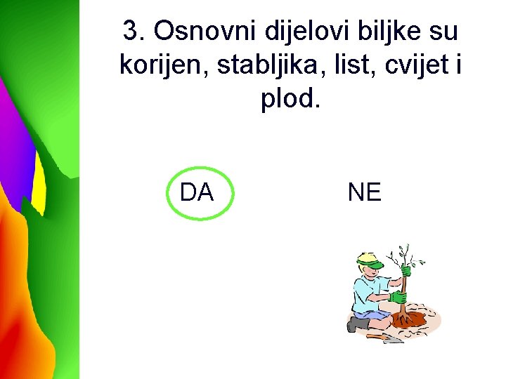 3. Osnovni dijelovi biljke su korijen, stabljika, list, cvijet i plod. DA NE 