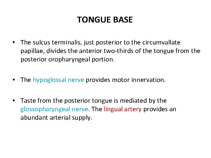 TONGUE BASE • The sulcus terminalis, just posterior to the circumvallate papillae, divides the